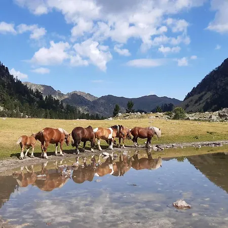 Appartamento Cauterets, 1 Pièce, 4 Personnes - Fr-1-234-249 *