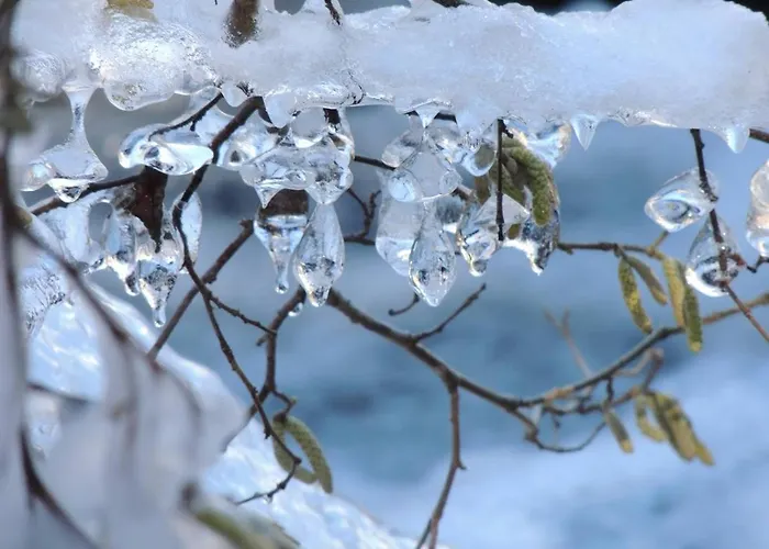 Lägenhet Proche Centre 4 Pers, Parking, Balcon - Fr-1-234-249