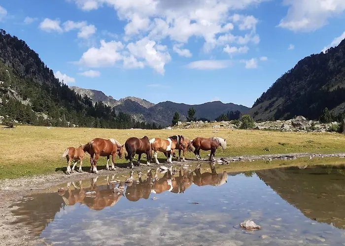 Lägenhet Proche Centre 4 Pers, Parking, Balcon - Fr-1-234-249 *